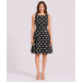 Eva Rose Polka Dot Seamed Bodice Fit & Flare Dress